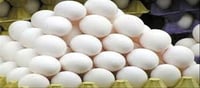 Hyderabad: Skyrocketing Egg Rates!!